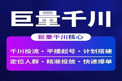 某电商平台的SEM推广实践与效果展示